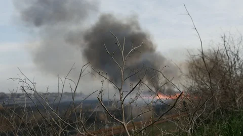 Fast spreading of flame on the dried river. Burning reeds field. 4k footage of a Video stock 105179920