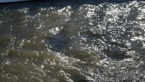 Fast spring river runs near white snow. 4K, 25 fps Video stock 87737893
