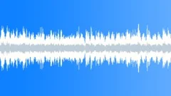 Fast squeaky reel - loopingSound Effect