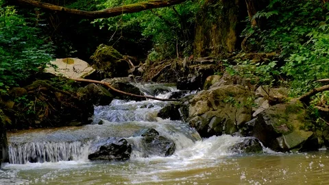 Fast, stony mountain wild river run in the dense green forest. Stock Footage 123874258