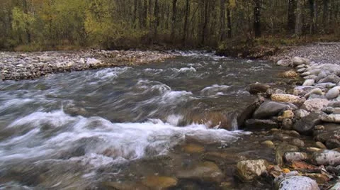 Fast stream in the autumn forest. Stock Footage 8944808