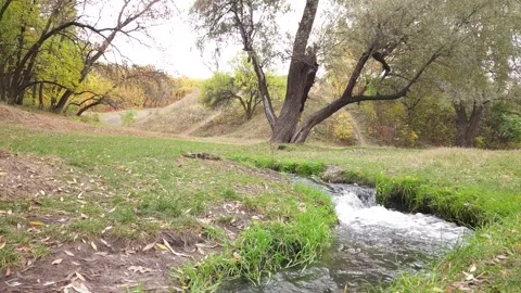 Fast stream in autumn park Stock Footage 297285390