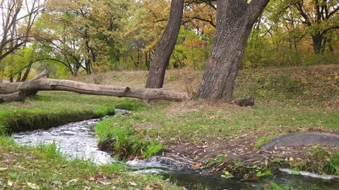Fast stream in autumn park Stock Footage 297285429