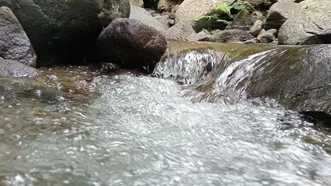 Fast Stream Flow Over Rocks Natural Dynamic Water Scene Stock Footage 330581792