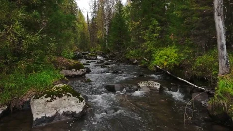 Fast stream Stock Footage 81662154