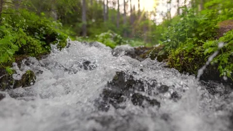 Fast stream in green forest with small waterfalls. Crystal clear water in small Video stock 247620424