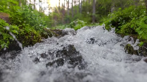 Fast stream in green forest with small waterfalls. Slow motion, steadicam shot Video stock 250964940