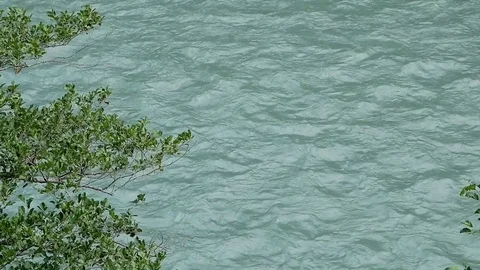 Fast stream of a mountain river Stock Footage 80558498