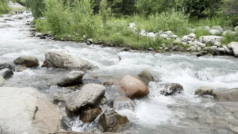 Fast stream in the mountains. Summer day by cool water. Stock Footage 200130106