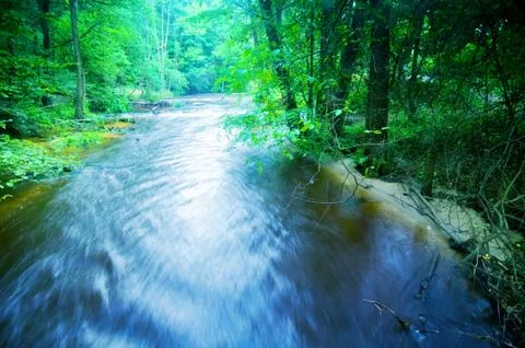 Fast stream running in the forest Foto stock