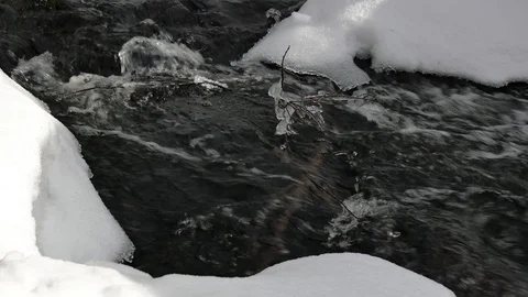 Fast stream of winter cold river in snowy banks close view Stock Footage 108839664
