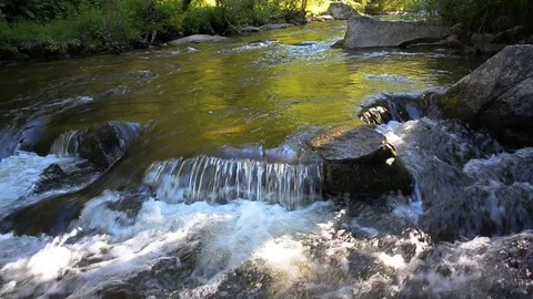 Fast taiga river Stock Footage 78536343