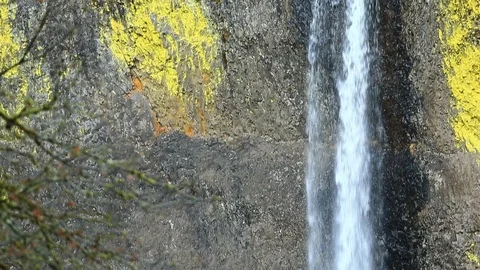 Fast Tilt Up of Latourell Falls - Shallow Depth of Field Stock Footage 101038630