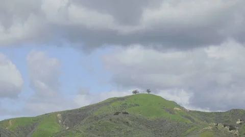 Fast time lapse of a developing storm over two trees above Ventura, California. Stock Footage 1019356