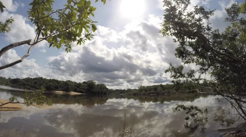 Fast Time-lapse of the Roosevelt River with Clouds in Brazil HD Video Stock-Footage 67058441