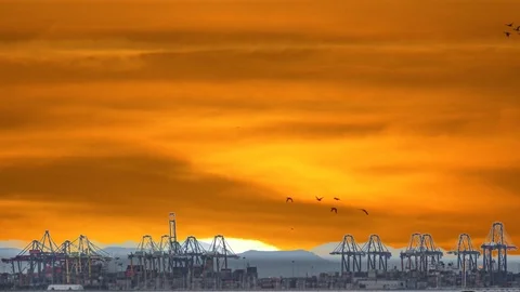 Fast Timelapse of port cranes with sunset and birds Stock Footage 89233728