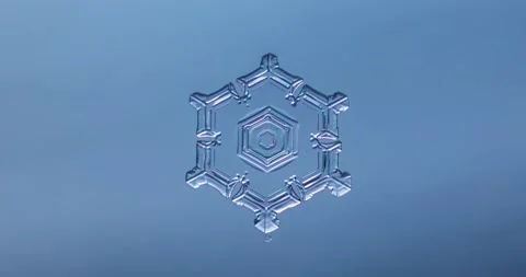 Fast timelapse of snowflake melting, winter timelapse Stock Footage 160837946