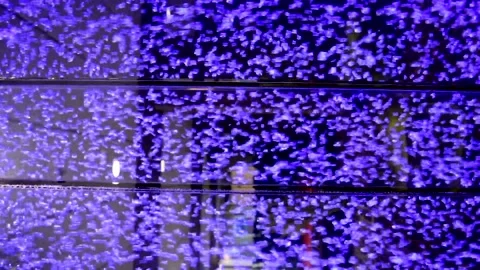 Fast Tiny Bubbles Purple Blue Green 스톡 동영상 144580132