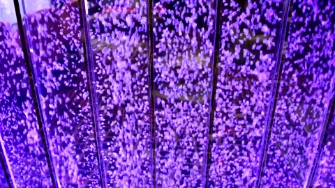 Fast Tiny Little Colored Bubbles Green Pink Purple Blue 스톡 동영상 143620345