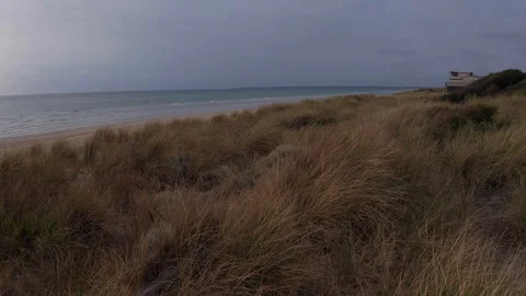 Fast tracking approaching the Ocean over Scrubland and Beach Stock Footage 122729457