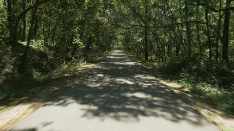 Fast tracking shot along path in dense woodland  drone aerial 4k Stock Footage 111418632