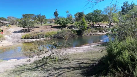Fast tracking shot passing by a river and trees in sunny nature Stock Footage 340276520