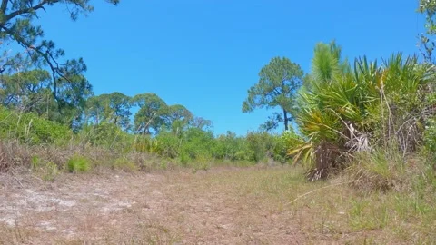 Fast trail riding video! Stock Footage 153495794