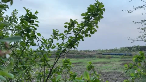 Fast train going through the field. View of railroad in Ukraine. Stock Footage 276651221