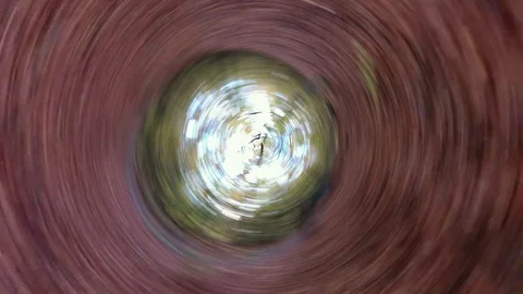 Fast turning camera, deciduous forest with leaf carpet Stock Footage 119165131