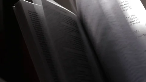 Fast turning of pages of a spanish book. Stock Footage 106042653