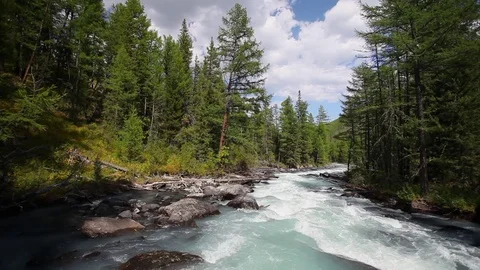Fast turquoise mountain River in the pine Forest Stockbeeldmateriaal 84042571