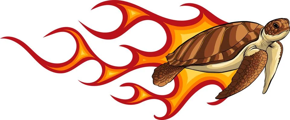 Fast turtles in flame set. Funny racing tortoise cartoon vector illustration Stock Illustration
