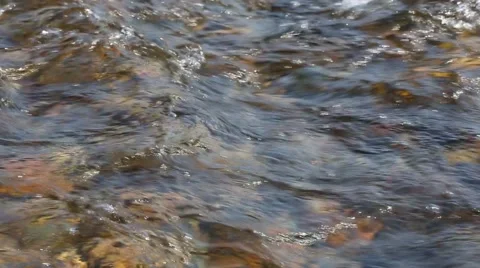 Fast water flow clear mountain river. Vídeos de archivo 49580139