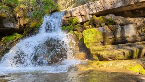 Fast water flowing over a small waterfall in a forest Stock Footage 211425181