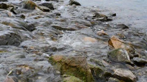 Fast water in the river on the background of stones and grass Stock Footage 91566437