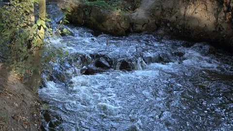 Fast water of a small stream close up Video stock 119103332