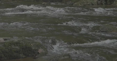 Fast water stream, 4k, 24fps, VLOG Stock Footage 277228437
