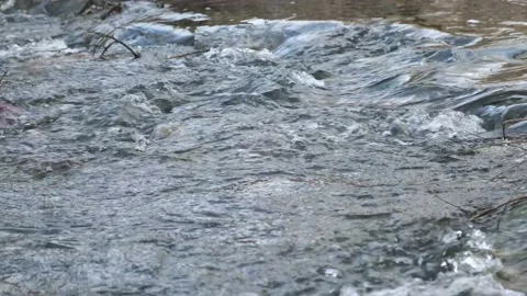 Fast water stream Stock Footage 133365335