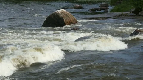 Fast Water Stream in forest Stock-Footage 81055244