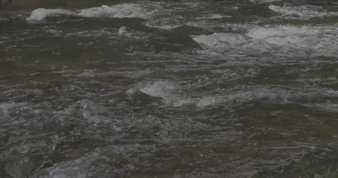 Fast water stream no.2, 4k, VLOG, 24fps Stock Footage 277228432