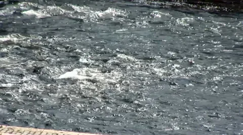 Fast water under the bridge, the river Nisava, Serbia 動画素材 37750623