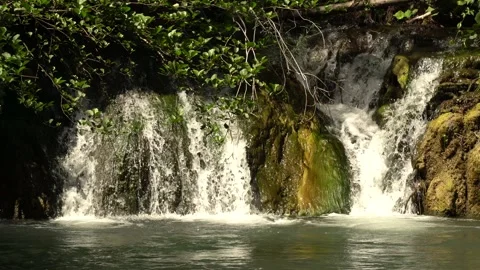 Fast waterfall Fast water cascade into the creek in the woods Stock Footage 137763266