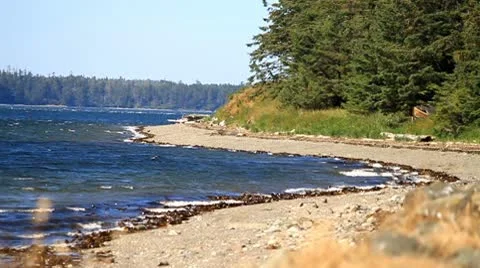 Fast waves against beach Stock Footage 10746712