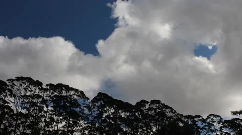 Fast white and gray clouds over line of trees and blue sky timelapse Stock Footage 45057407