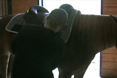 Fastening Saddle 動画素材 10775221