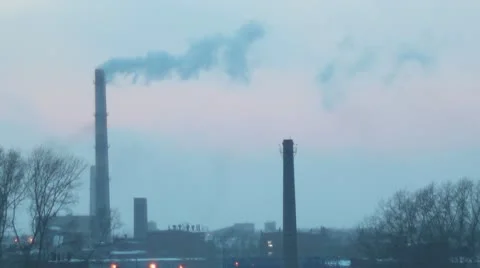 Fastplant2 Видео 8991405