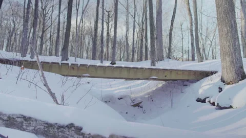 Fat bikers on a bridge Stock Footage 144779035