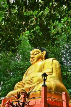Fat buddha Stock Photos