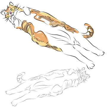 Fat calico cat laying down Stock Illustration