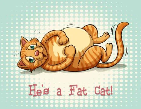 Fat cat Stock Illustration